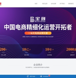 淘宝代运营公司-天猫网店托管-电商代运营「宝琏电商」