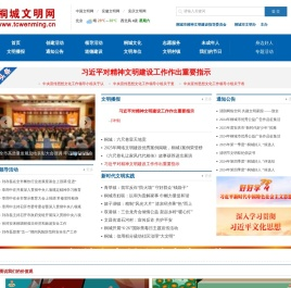 桐城文明网