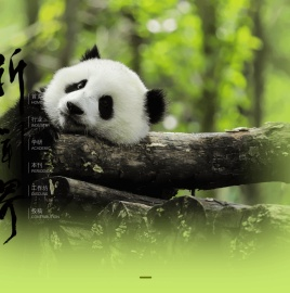 新闻界
