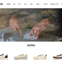 杭州威孚贸易代理品牌零售网站