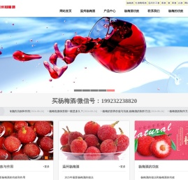【杨梅酒】杨梅酒的功效和作用_杨梅酒的做法_温州杨梅酒