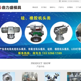 东莞市鼎力盛科技有限公司