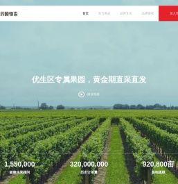 辰颐物语官网—将健康水果送入千家万户