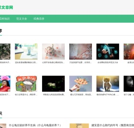 爱思文章网