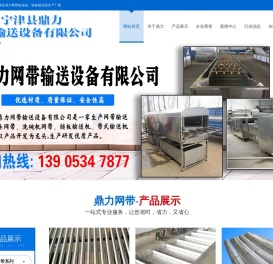 网带输送机-链板输送机-分选机输送带-宁津县鼎力网带输送设备