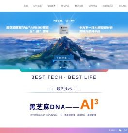 黑芝麻智能|黑芝麻高级辅助驾驶ADAS-计算机视觉-黑芝麻芯片解决方案