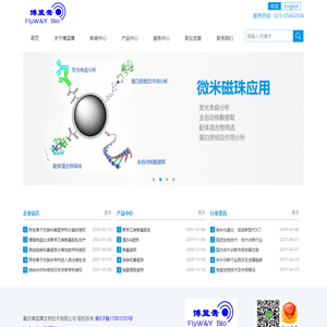 发光免疫磁珠　链亲和素磁珠--博蓝鹰生物
