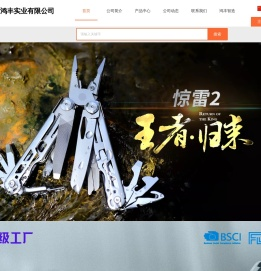 阳江鸿丰实业有限公司