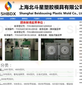 输送带-网带-模块输送带-上海北斗星塑胶模具有限公司