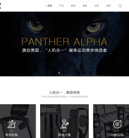 商用健身器材批发_健身器材厂家_跑步机_椭圆机|美国潘赛健身器材
