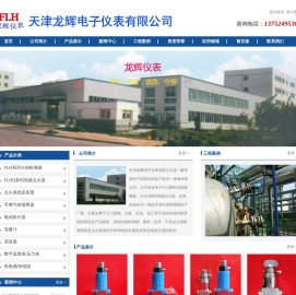 FLH系列火焰检测器|FLHQ系列高能点火器|天津火焰检测器生产厂家-天津龙辉电子仪表有限公司