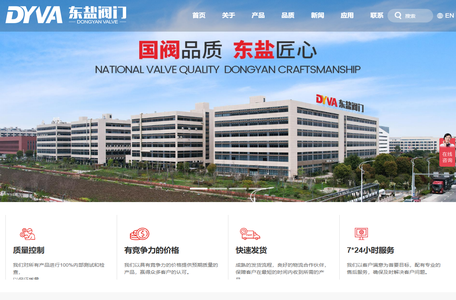 国阀品质★东盐匠心,浙江东盐阀门有限公司官网,东盐阀门,球阀,闸阀,截止阀,止回阀,过滤器,www.chylv.com