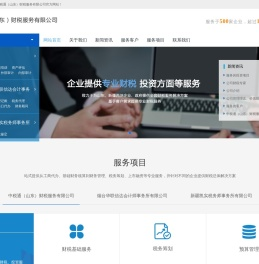 中税通（山东）财税服务有限公司