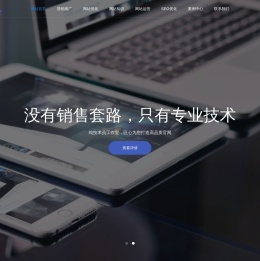 公司做网站|企业建站|做一个网站费用价格|官网搭建-【高端品牌网站建设】