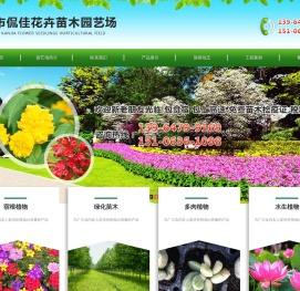 紫藤_凌霄_丛生福禄考_黄栌_宿根草花-青州市侃佳花卉苗木园艺场