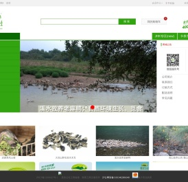 原农公社－专业的企业生态福利供应商和家庭安全农产品配送服务商！自然农法原生态农产品。 - Powered by 原农公社技术研发团队