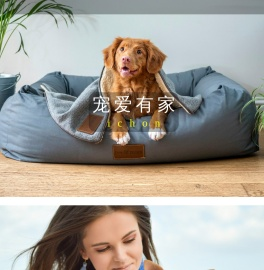 爱宠网