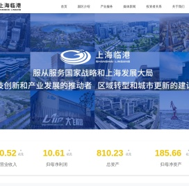 上海临港控股股份有限公司