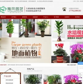 西安绿植租摆_西安花卉租摆_西安绿植租赁-西安雅风企业管理有限公司