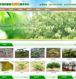 金银花苗 金银花苗木_山东旺家家金银花苗木中心