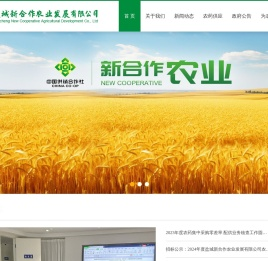 盐城新合作农业发展有限公司