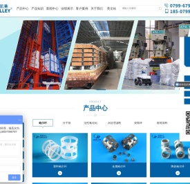 鲍尔环-陶瓷塑料金属不锈钢聚丙烯鲍尔环填料-瓷球_江西凯莱化工填料有限公司