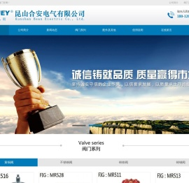 瑞光凡而,m.ruey,mruey,瑞光阀门,台湾瑞光,台湾瑞光阀门,昆山合安电气有限公司-瑞光凡而阀门有限公司