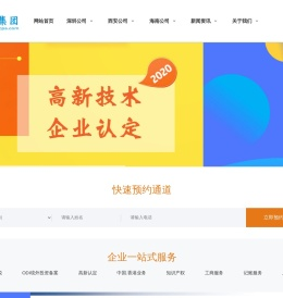 工商服务_记账报税_高新认定_资质办理_深圳代理记账有限公司
