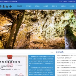 青海齐鑫地质矿产勘查股份有限公司-青海齐鑫地质矿产勘查股份有限公司