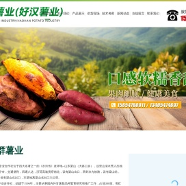 梁山伍群薯业农民专业合作社_梁山好汉薯业农场,徐薯32,济薯26,商薯19,龙薯9号,红香蕉