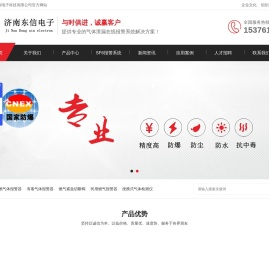 可燃气体报警器_有毒有害气体报警器_气体报警器_报警仪_东信电子