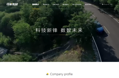 锋巢集团