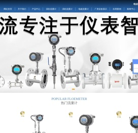 江苏华流仪表有限公司