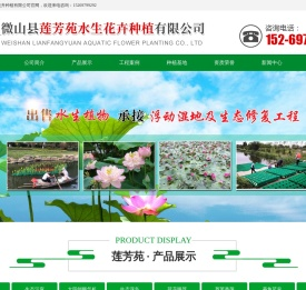 微山县莲芳苑水生花卉种植有限公司_荷花,睡莲,盆栽荷花,盆栽睡莲,生态浮岛