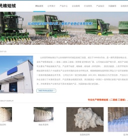 棉短绒,棉短绒价格,棉短绒行情,棉短绒厂家,棉短绒生产厂家-山东富民棉短绒有限公司