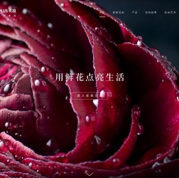 FLŌWERPLUS 花加(花+)鲜花订阅,包月鲜花-用鲜花点亮生活,网上订花【花加】