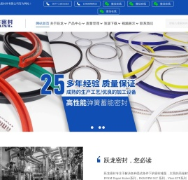 永嘉跃龙密封件有限公司