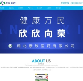 湖北康欣医药有限公司