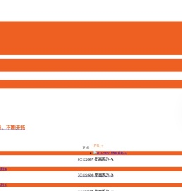 泉州陶瓷pc砖_园林景观砖厂家_石英砖地铺石价格 _福建暴风石英砖