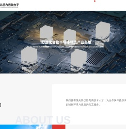 湖北新为光微电子有限公司