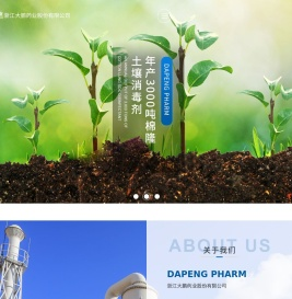 浙江大鹏药业股份有限公司