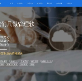 E立方定制-管理软件定制开发-低代码快速开发-专做管理软件