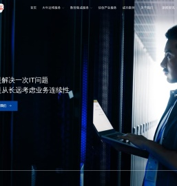 同创双子|围绕业务需求，提供IT运维+系统集成服务-IT服务上市公司