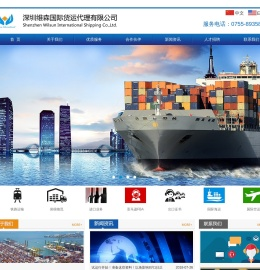 深圳维森国际货运代理有限公司