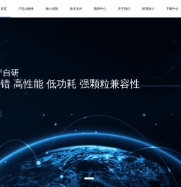 本征信息技术有限公司|全国产、高可靠固态存储主控芯片提供商