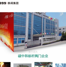 泰阀,泰阀集团,泰阀控股集团有限公司,零泄漏球阀,零泄漏截止阀,专利零泄漏阀门-官网