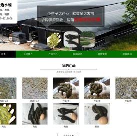 菲牛蛭_宽体金线蛭_江门市金边生物科技