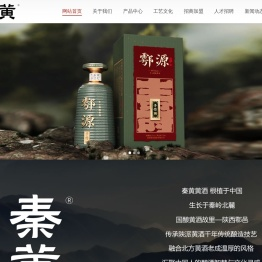 陕西秦黄酒业有限公司