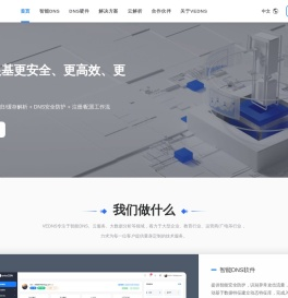 VEDNS-智能DNS系统-DNS设备-DNS软件-DNS云解析