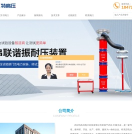CT参数分析仪-ct伏安特性测试仪-武汉特高压电力科技有限公司